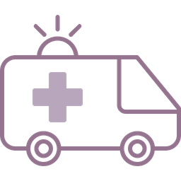 Ambulance  Icon