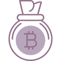 Bitcoin Bag  Icon