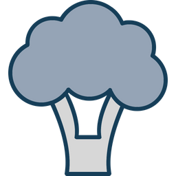 Broccoli  Icon