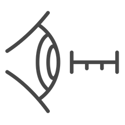 Eyesight measurement  Icon