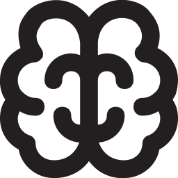 Brain  Icon