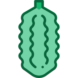 Bitter gourd  Icon