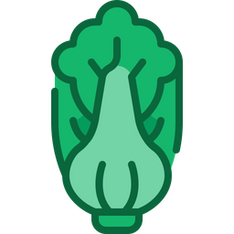 Bok choy  Icon