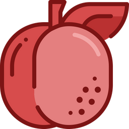 Apricot  Icon