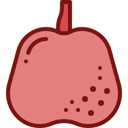 Chinese pear  Icon