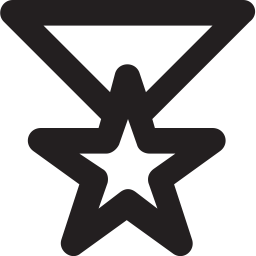Medal Star Position Icon
