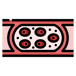 Blood vessel  Icon