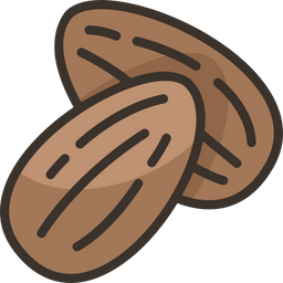 Almonds  Icon