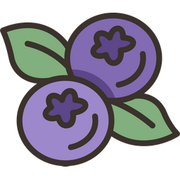 Blueberries  Icon