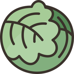 Cabbage  Icon