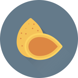 Almond  Icon