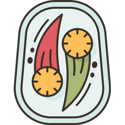 Appetizer  Icon