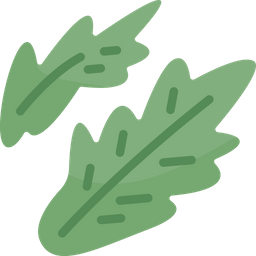 Arugula  Icon