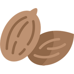 Cardamom  Icon