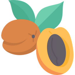 Apricot  Icon