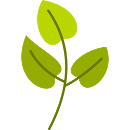 Heart Leaf Plant  Icon