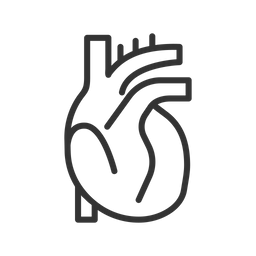 Heart  Icon