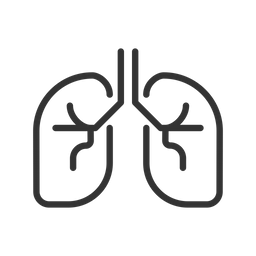 Human lungs  Icon