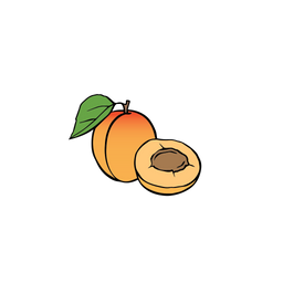 Apricot  Icon