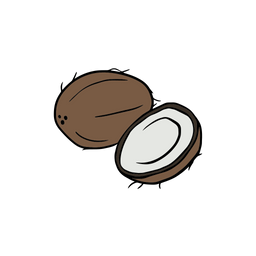 Coconut  Icon