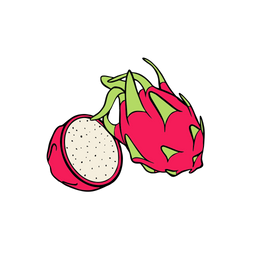 Dragonfruit  Icon