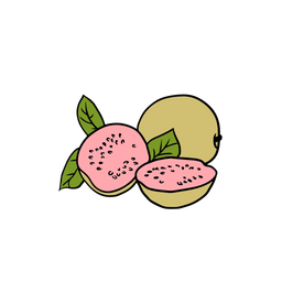 Guava  Icon