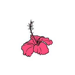 Hibiscus  Icon