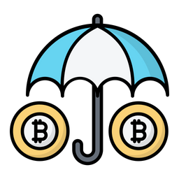 Bitcoin Insurance  Icon