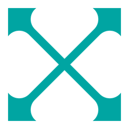 X letter  Icon