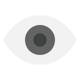 Eyes  Icon