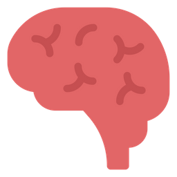 Brain  Icon