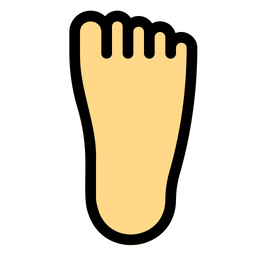 Feet  Icon