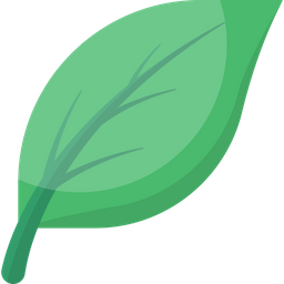 Leaf  Icon