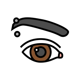 Eyebrow  Icon