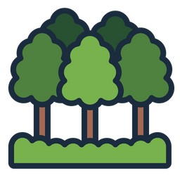 Forest  Icon