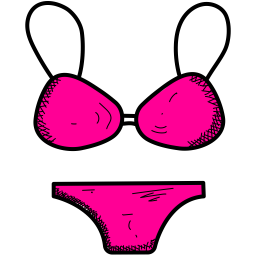 Bra  Icon