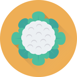 Cauliflower  Icon