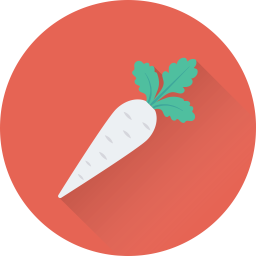 Carrot  Icon