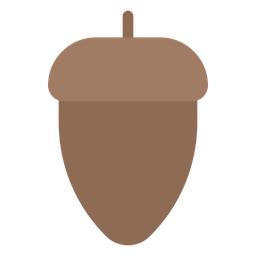 Acorn  Icon