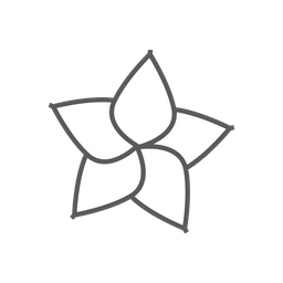 Flower  Icon