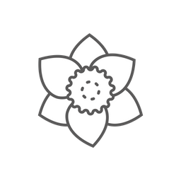 Flower  Icon