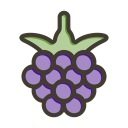 Blackberry  Icon