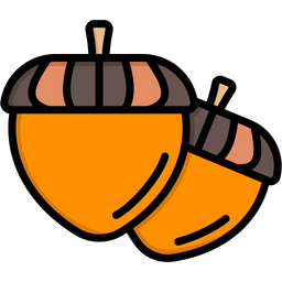 Acorn  Icon