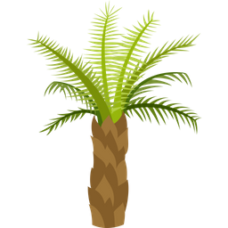 Palmera datilera  Icono