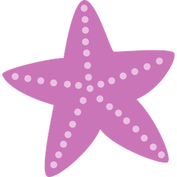 Sea star  Icon