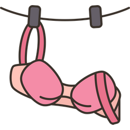 Bra  Icon