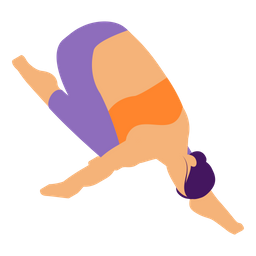 Crane Pose  Icon