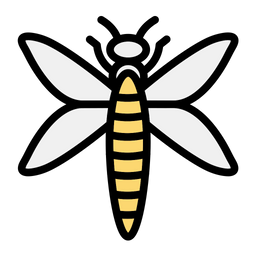 Dragonfly  Icon