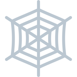 Cobweb  Icon