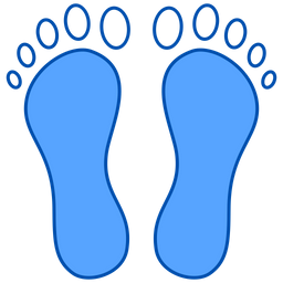 Footprint  Icon